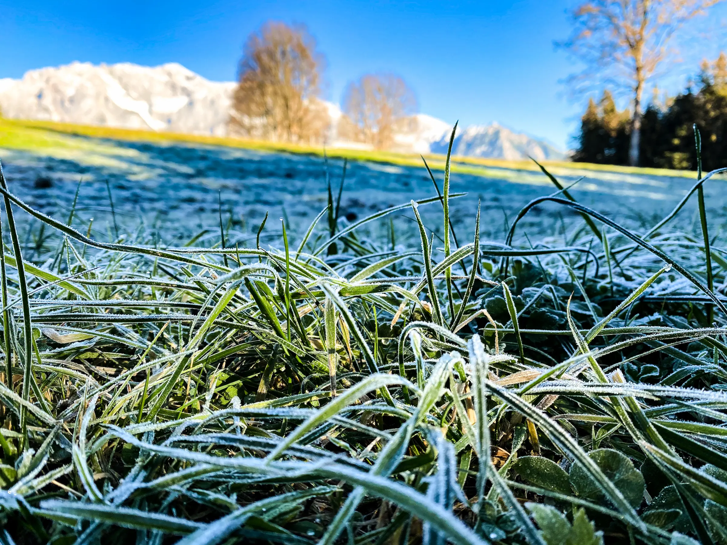 Erleben Sie einen unvergesslichen Urlaub in Schladming-Dachstein. Unsere erstklassigen Unterkünfte bieten Ihnen den perfekten Ausgangspunkt, um die atemberaubende Bergwelt und die vielfältigen Freizeitmöglichkeiten der Region zu erkunden. Egal ob Sommer oder Winter, Schladming-Dachstein bietet Ihnen zahlreiche Aktivitäten und Erholungsmöglichkeiten. Buchen Sie jetzt Ihren Traumurlaub und genießen Sie die Schönheit und Gastfreundschaft dieser beeindruckenden Region.